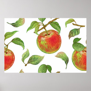 Poster Padrão sem costura com maçãs vermelhas. Vintag rea