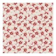 Padrão sem costura da flor de hibiscus