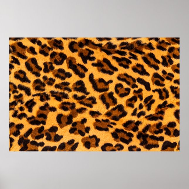Poster Padrão sem costura de peles de leopardo (Frente)