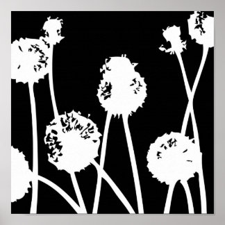 Poster Padrões da natureza 26