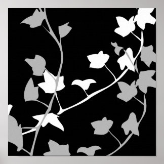 Poster Padrões da natureza 3