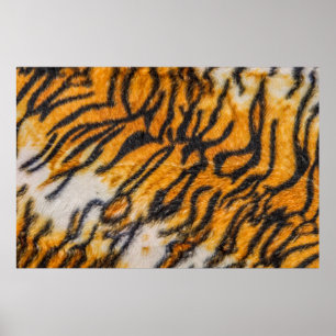 Poster Padrões de fundo com padrão de Tigre, Tigre, abstr