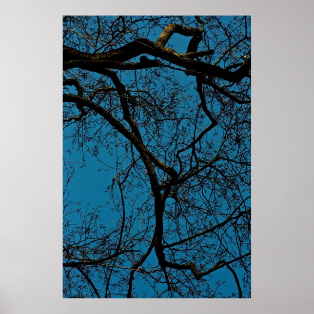 Poster Padrões no céu (Frente)