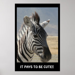 POSTER PAGA PARA SER BONITO!