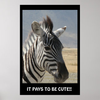 POSTER PAGA SER BONITA!