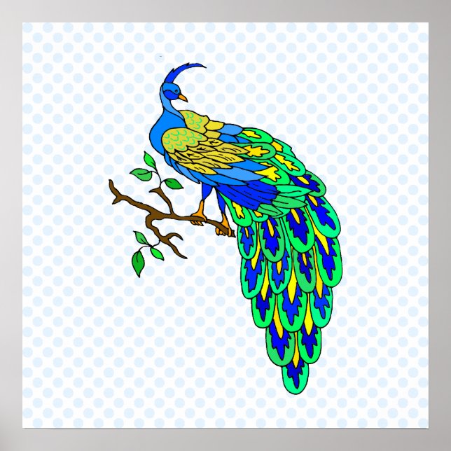 Pôster Pagiel Peacock (Frente)