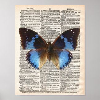 Poster Página do dicionário de safra e borboleta azul