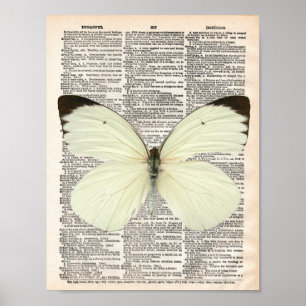 Poster Página do dicionário de vindima e borboleta branca
