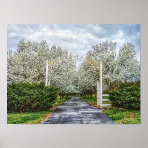 Poster Página inicial da unidade de primavera