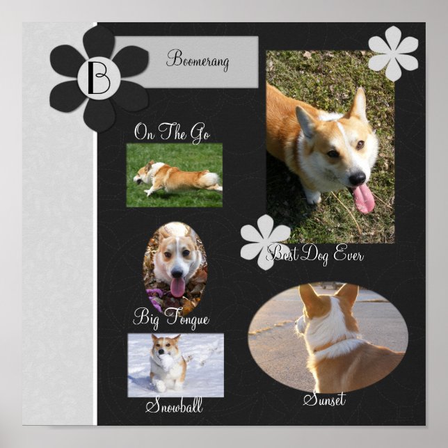 Pôster Página Tabuleiro de Tretas Preto e Branco (Frente)