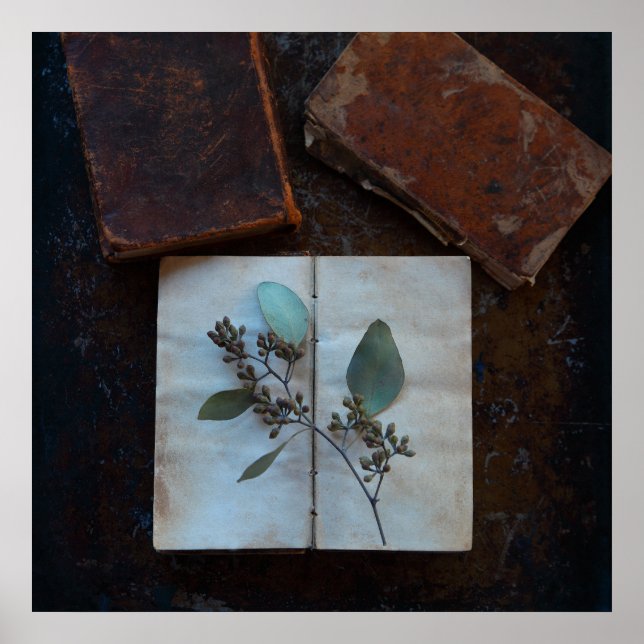 Poster Páginas antigas de livros com folhas de eucalipto (Frente)