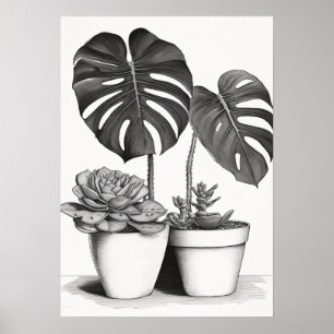 Poster Pai de Planta Jardinagem Plantas Internas Suculent