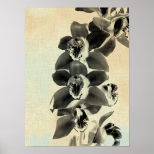 Poster Painéis Blush Orchid IV