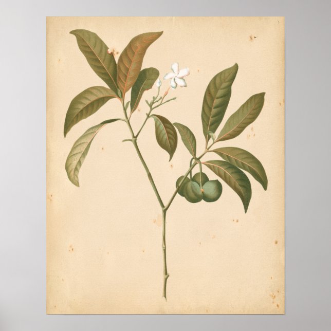 Poster Painel I do Deco do Cobalto (Frente)