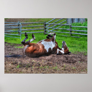 Poster Paint Horse Rolling in Mud Funny Equine Photo