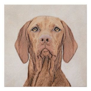 Pôster Painting Vizsla - Arte de Cachorro Original