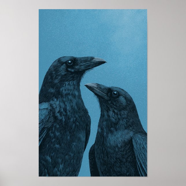 Poster Pair of crows on a blue background (Frente)