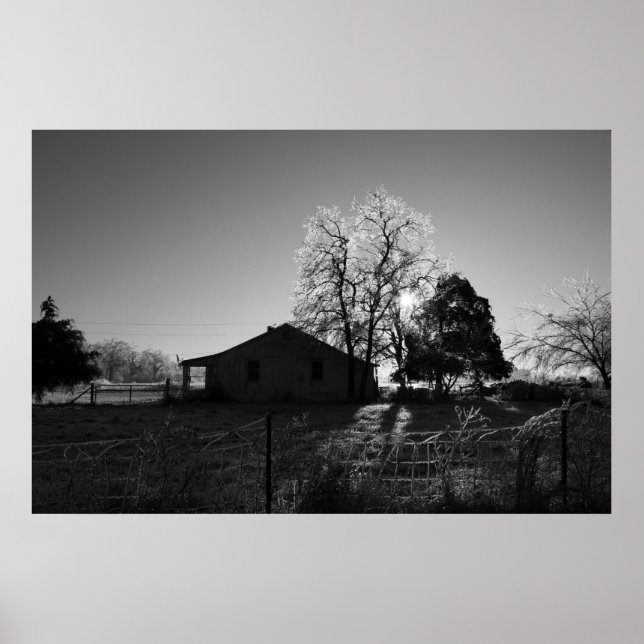 Pôster País (Frente)