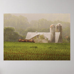 Pôster País - Agricultura do Amish
