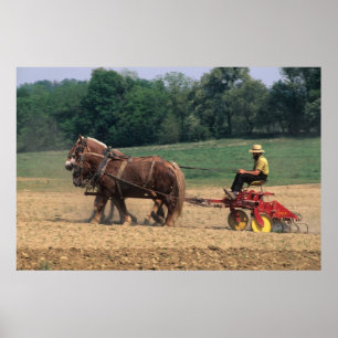 Pôster País Amish pessoas simples na agricultura com