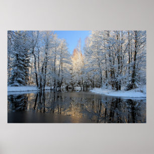 Poster País das maravilhas do inverno
