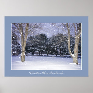 Poster País das maravilhas do inverno