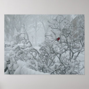 Poster País das maravilhas do inverno