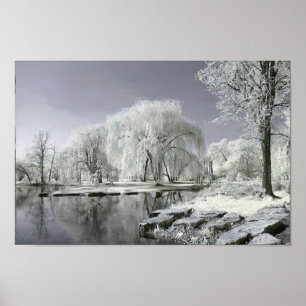 Poster País das maravilhas do inverno