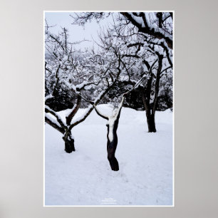 Pôster País de inverno by Johannes Stötter