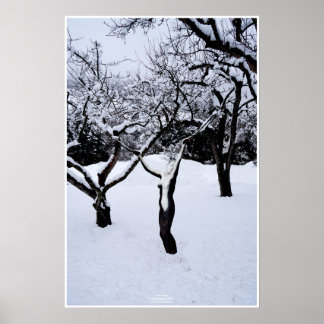 Pôster País de inverno by Johannes Stötter