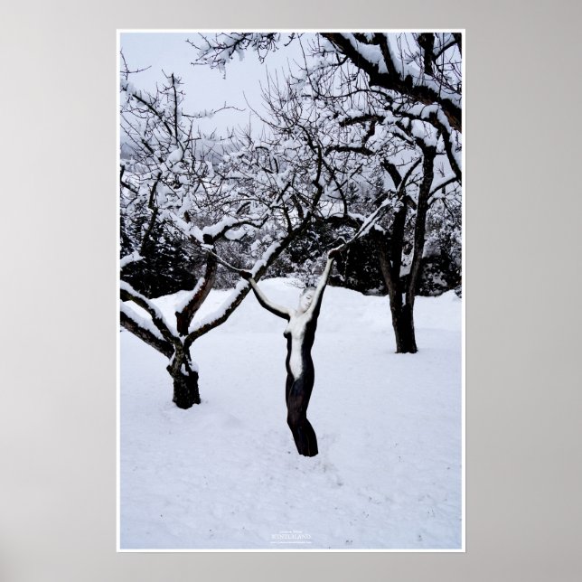 Pôster País de inverno by Johannes Stötter (Frente)