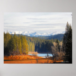 Pôster País Dourado