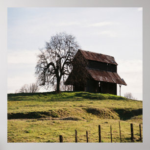 Poster País no outono......