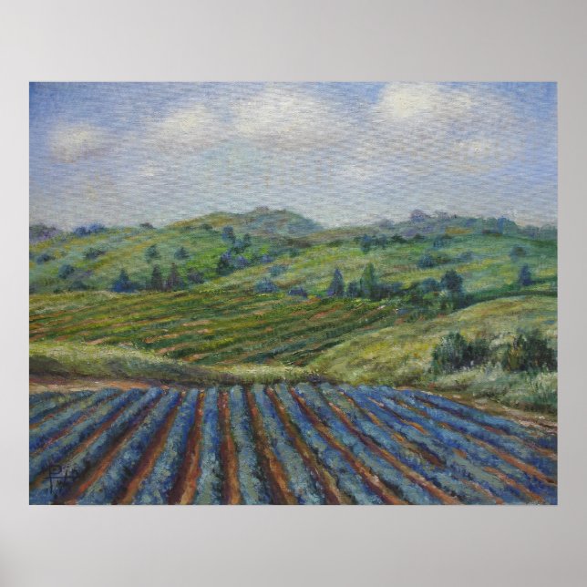 Pôster País Vinho (Frente)