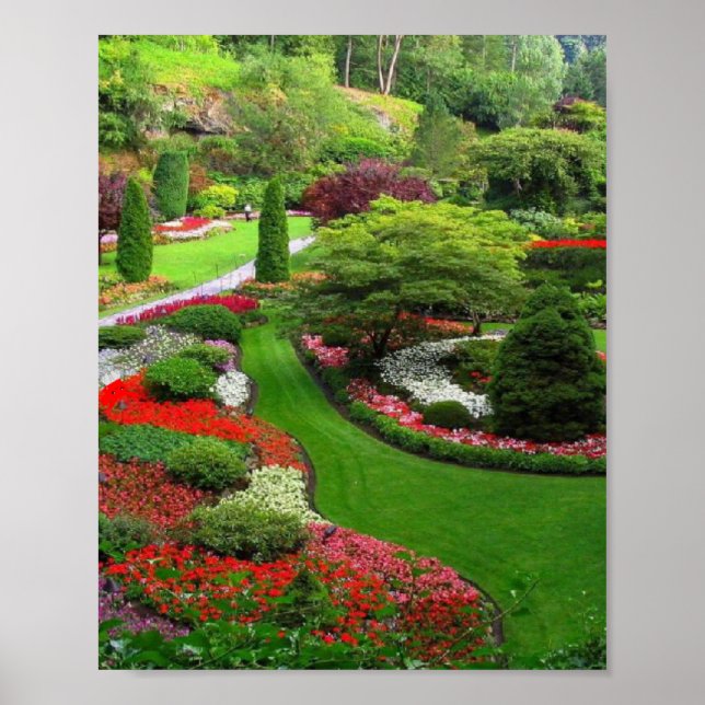 Poster paisagem (Frente)