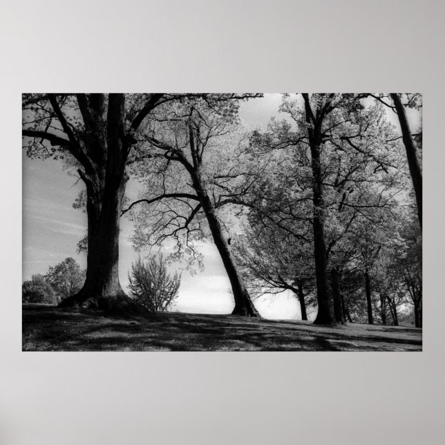 Pôster Paisagem (Frente)