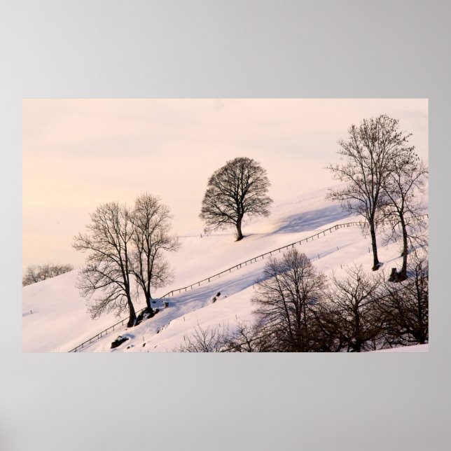 POSTER PAISAGEM (Frente)