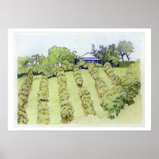 Pôster Paisagem (Frente)