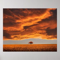 paisagem abstrato de árvore solitário