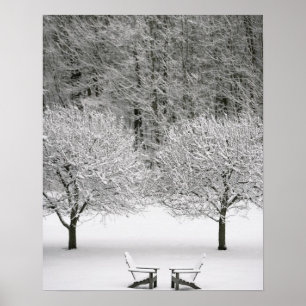 Pôster Paisagem coberto de neve