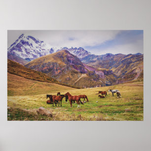 Poster Paisagem com cavalos em montanhas georgianas