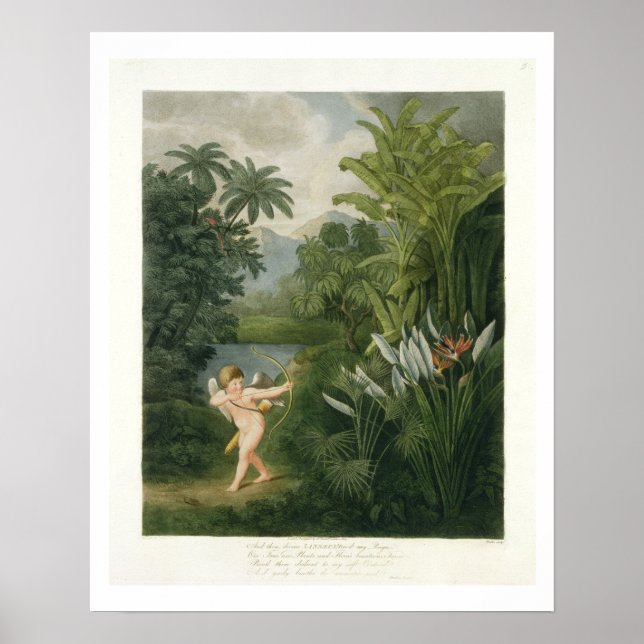 Poster Paisagem com Cupido apontando uma seta para um pap (Frente)