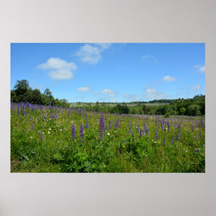 Poster Paisagem com tremoços -