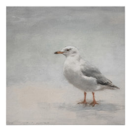 Pôster Paisagem Costeira de Seagull