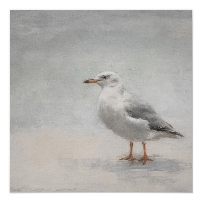 Pôster Paisagem Costeira de Seagull (Frente)