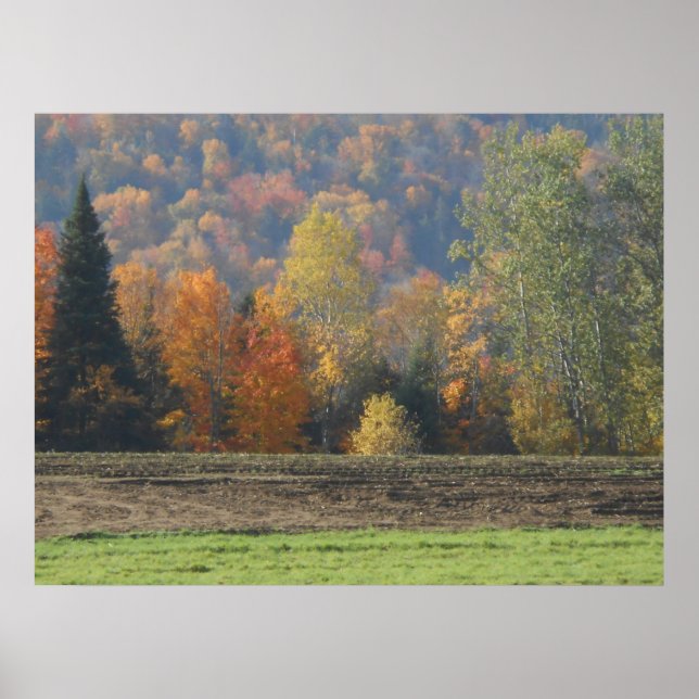 Poster Paisagem da Cena de Adirondacks no Campo de Outono (Frente)