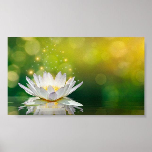 Poster Paisagem da Flor de Lótus Branco, Zen (Frente)