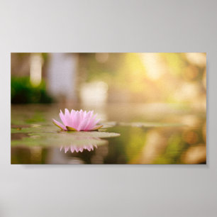 Poster Paisagem da Flor Na moda Lotus, Zen