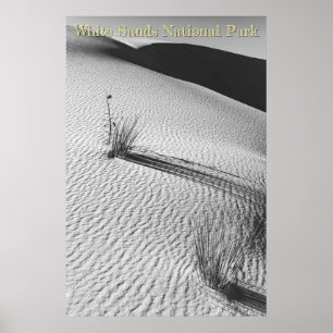 Poster Paisagem das Dunas de Areia Branca Preto e Branco