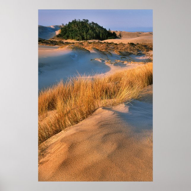 Poster Paisagem das Dunas de Areia de Oregon (Frente)